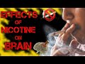 Effects of nicotine on the brain