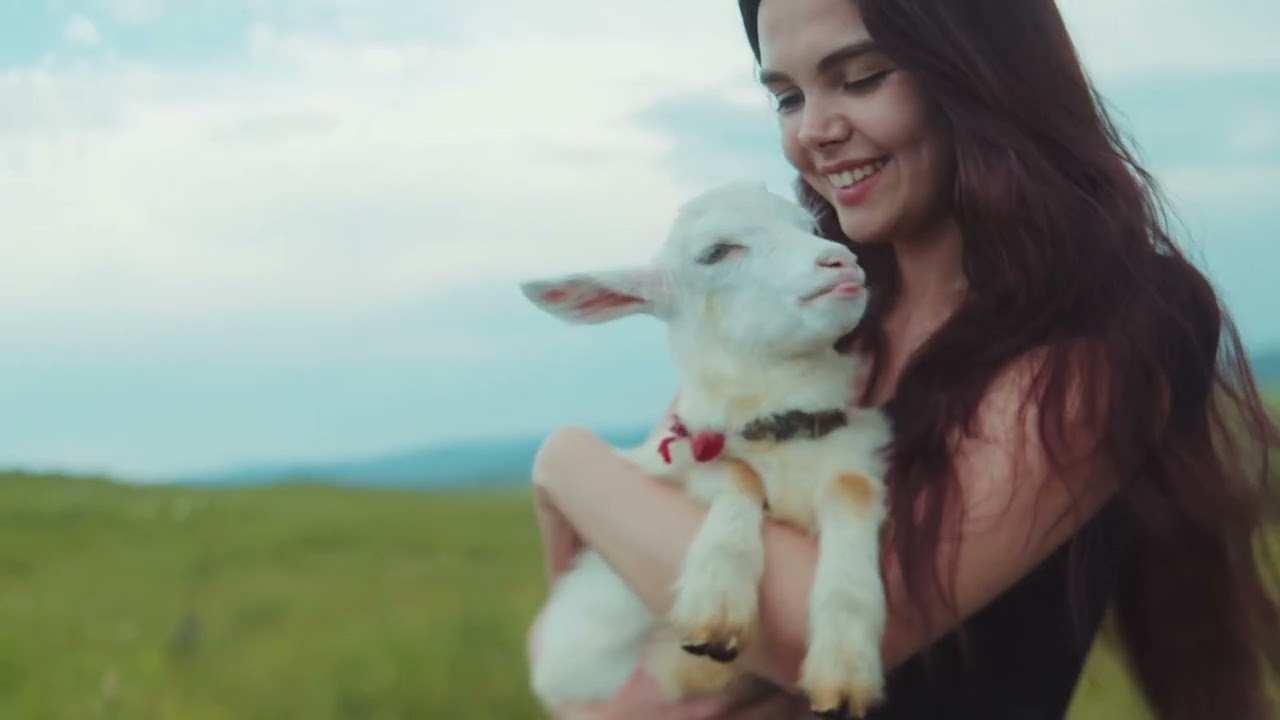 Young Animal Energy Saving