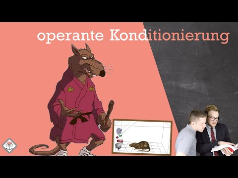 Operante Konditionierung - einfach erklärt mit Beispiel