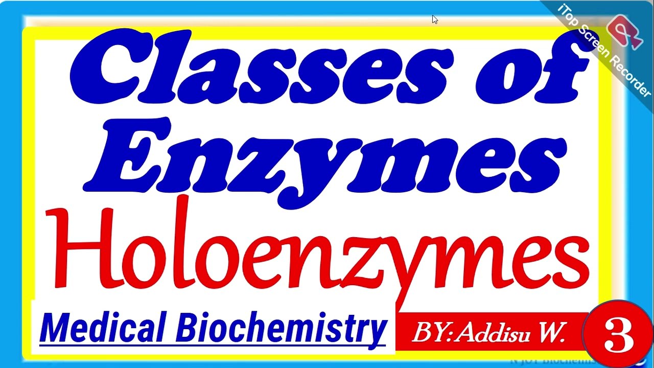 11. Classification of Enzyme #cofactor #coenzyme #holoenzyme #enzymes