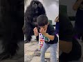 شوفه شوفه تغطية توصيل الكينج كونج حق العملاء للحجز والاستفسار 51525780 