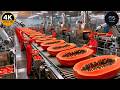 Inside a High-Tech Papaya Factory: Fresh Farm to Sweet Dessert (Full Process)