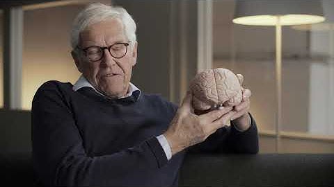 Mips Explained Bicycle