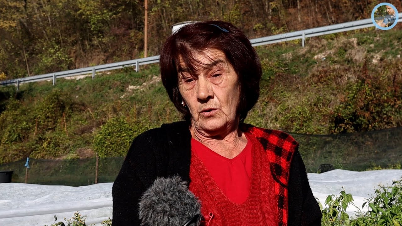 „17.000 sama zasadila ručno“