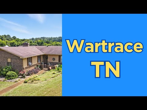 203 Earl Smith Rd, Wartrace, TN home video tour