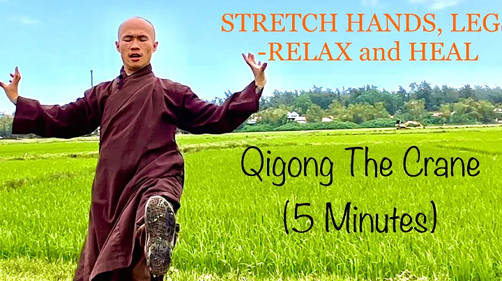 Stretch HANDS, LEGS to RELAX and HEAL | Qigong The Crane ( 5 Minutes) - DayDayNews