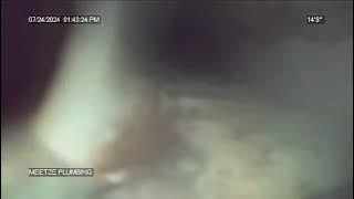 342d2a6f f5c9 4b70 a6e6 43557a97667d trim 1A737145 70BA 468D 856F 9D07338F4EE5