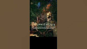 سورة الإسراء الآيات{٧٨-٨١}#quran #المصحف #اكسبلور #حالات_واتس #دويتو #راحة_نفسية #islamicfestival #د