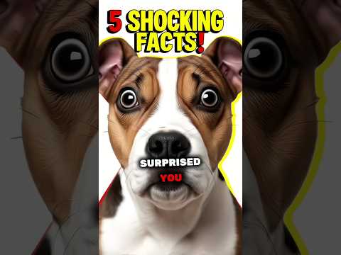 5 Mind-Blowing Facts About Bull Terriers You Never Knew!