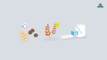 AgraStrip® Gluten G12 Test Kits | Instructional Video