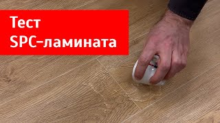 Чем отличается дешевый SPC-ламинат от дорогого? Тест