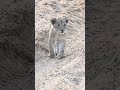 South Africa Episode 1 now live