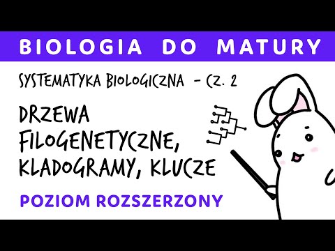 Systematyka biologiczna 2 - Drzewa filogenetyczne, kladogramy, klucze; zadania maturalne - biologia