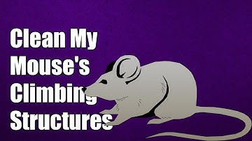 How do I clean my mouse