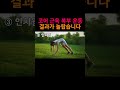 코어 약하면 몸 전체가 무너집니다! 이 운동 하세요! 효과 좋다고 난리에요