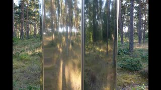 Mirror Column in the forest