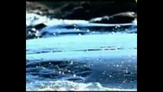 Jessica Folker - Tell me why
