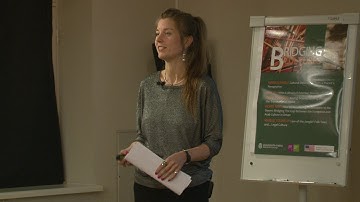 Terje Toomistu "Seeing Beauty, Sensing Gender in The Transnational World"