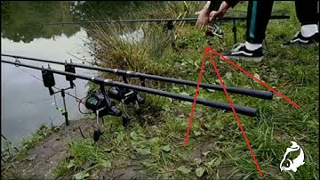 Carp Run COMPILATION 2020! PART 59!