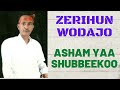 Zerihun wodajo  asham yaa shubbeekoo  oromo music  2022