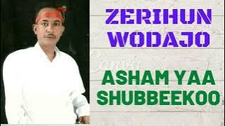 Zerihun Wodajo - Asham Yaa Shubbeekoo | Oromo Music | 2022