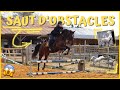 Cours saut dobstacles et chevaux surexcits  270321  cso landreau