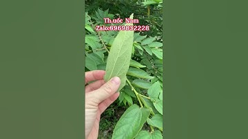 ￼ung Thư, ￼tim mạch, tiểu đường