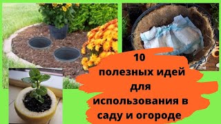 10 полезных идей для использования в саду и огороде