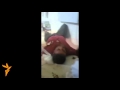 روسي جټ الوتکو په سوریه کې یو روغتون بمبار کړ 