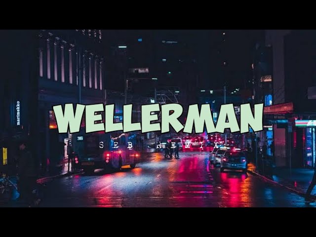 Wellerman ( SEB REMIX ) class=