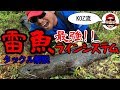 これがライギョハンターKOZの最強ノットだ！