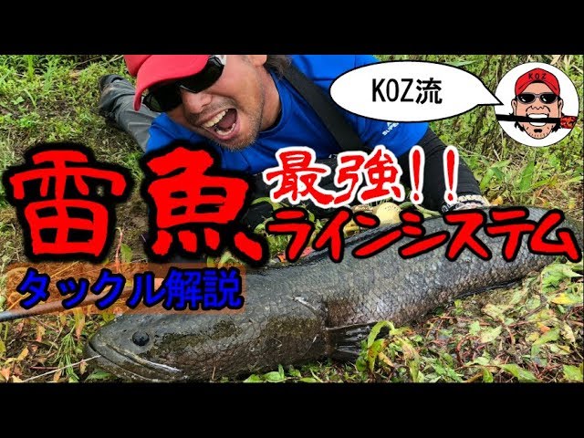 これがライギョハンターkozの最強ノットだ Youtube