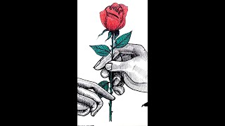 hands giving a rose drawing for valentine's day special | draw esay and step bye step