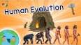 The Fascinating Evolution of Human Communication ile ilgili video