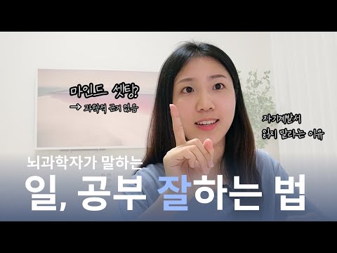 가장 효과적이고 간단한 효율 높이는 법 Ft 과학적 근거 