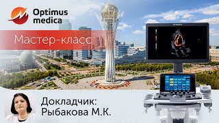 Мастер класс от Рыбаковой М К на Hitachi Lisendo 880