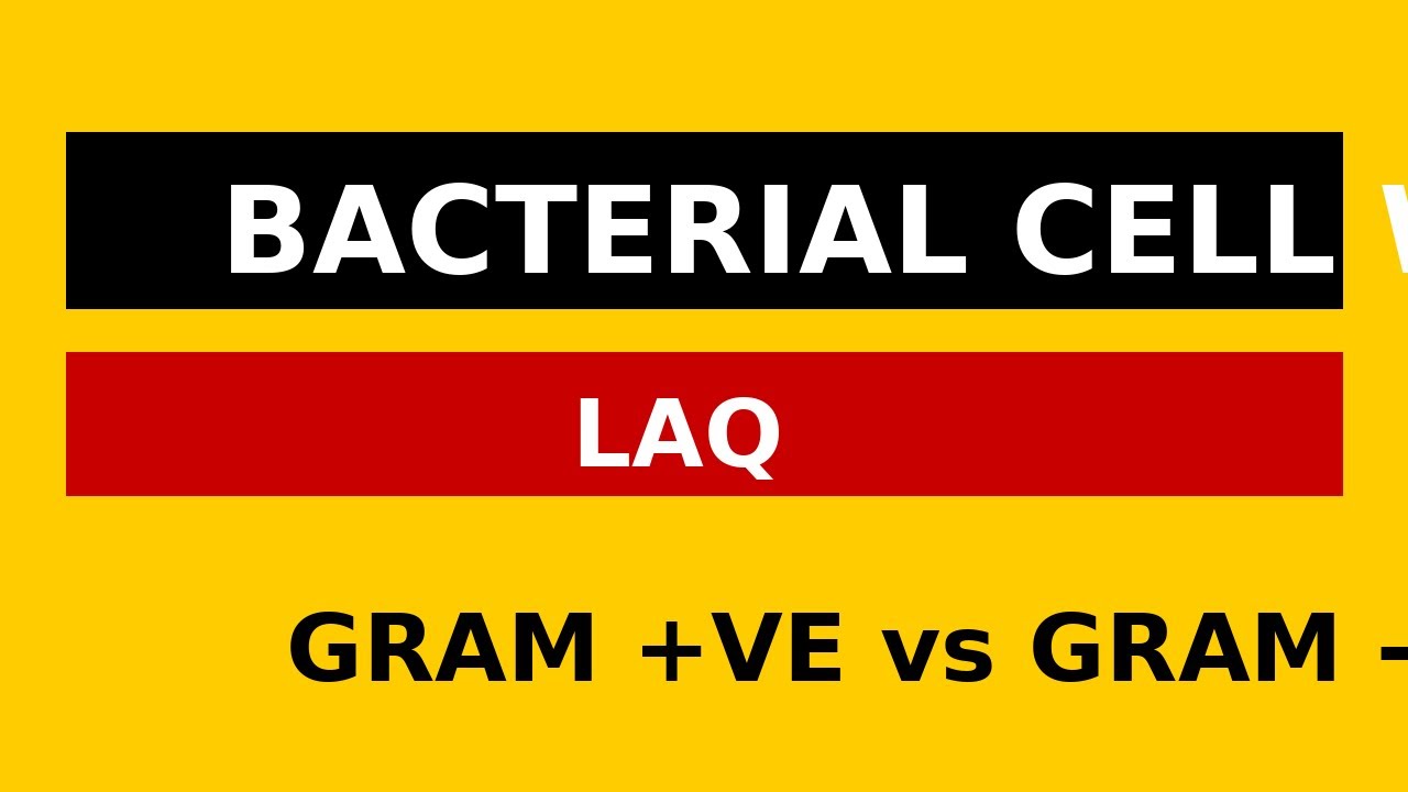 Bacterial Cell Wall Explained | Structure & Functions | Microbiology LAQ FOR MBBS BHMS FMG