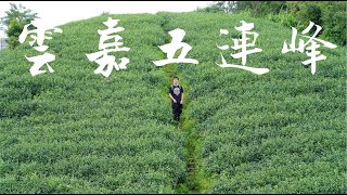 雲嘉五連峰｜走個步道真的要被黃標了!?｜太平山｜梨子腳山｜馬鞍山｜二尖山｜大尖山