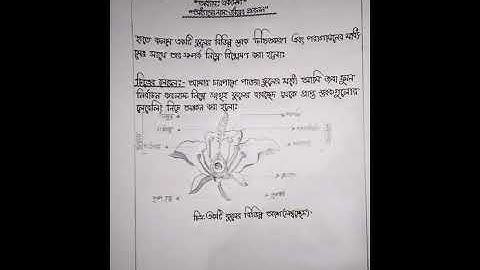 Ssc biology assignment 7th week 2021