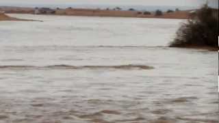 شعيب المستوي الثلاثاء 1434/2/12