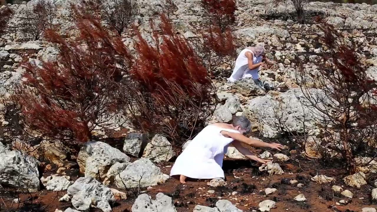 Lottë - Tarantula II