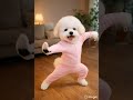 Doggy #youtubeshorts #shorts #dog