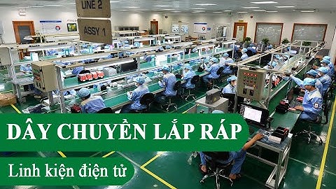 Hệ thống băng tải PVC trong dây chuyền lắp ráp linh kiện điện tử