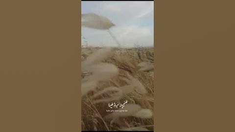 ولنجزين الذين صبروا أجرهم بأحسن ماكانوا يعملون||خالد الجليل_سورة النحل