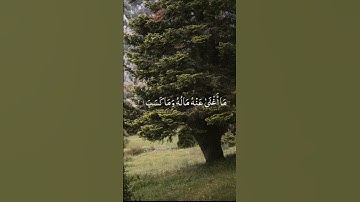 سورة المسد بصوت الشيخ /سعود الشريم. #سورة_المسد #القرآن_الكريم#سعود_الشريم #راحه_نفسيه #اكسبلور