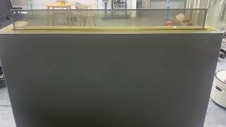 55 inch Autolift Transparent OLED with voice control