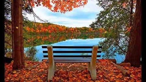 سورة المعارج • رزكار محمد الكردي | Rzgar Mohammad Al Kurdi • Surah Al-Maarij