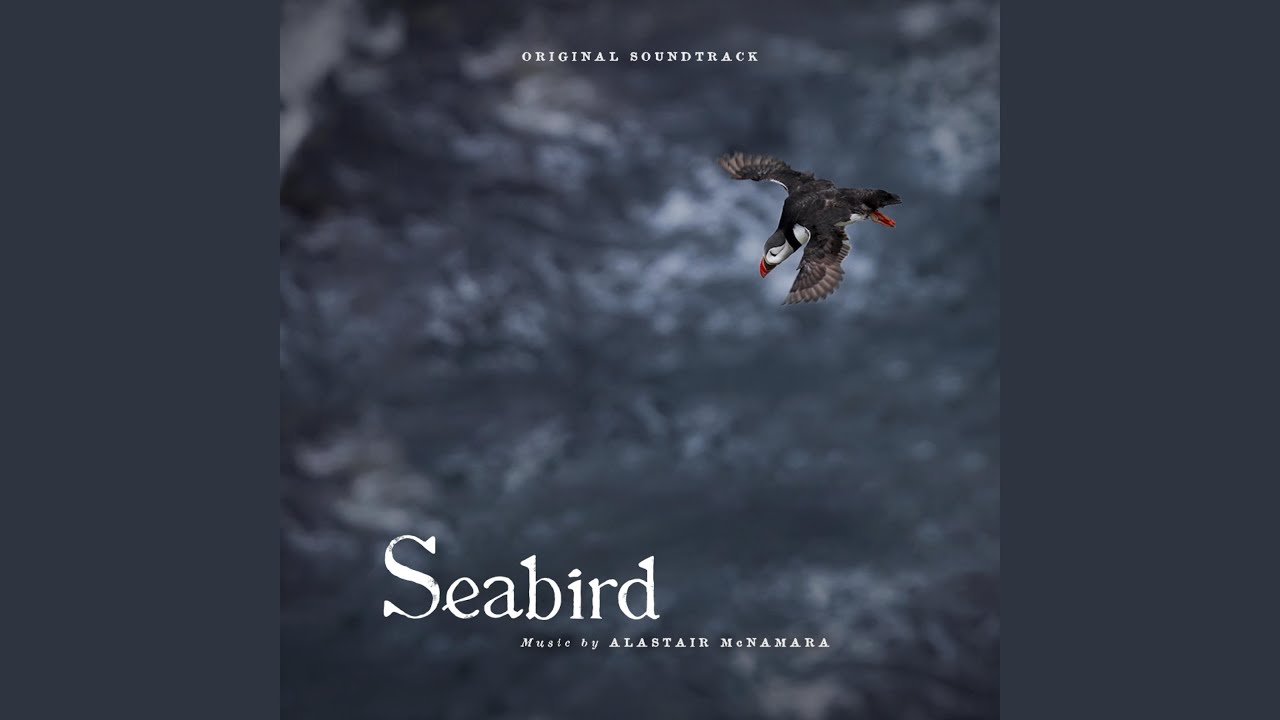 Plastic in the Water