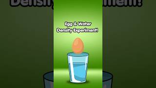 Egg & Water Density Experiment! #scienceexperiment