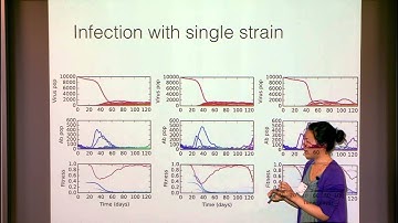 Probabilistic Models for Pathogen Evolution Within and Between Hosts